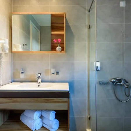 Apartmanhotel Despina Platanés